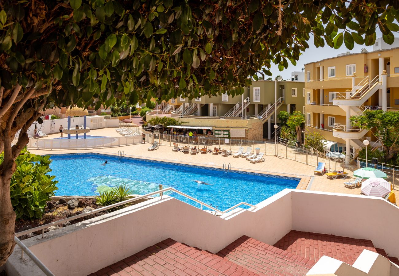 Apartamento en Adeje - Orlando Sunny Apartment Near Costa Adeje Beach by LoveTenerife