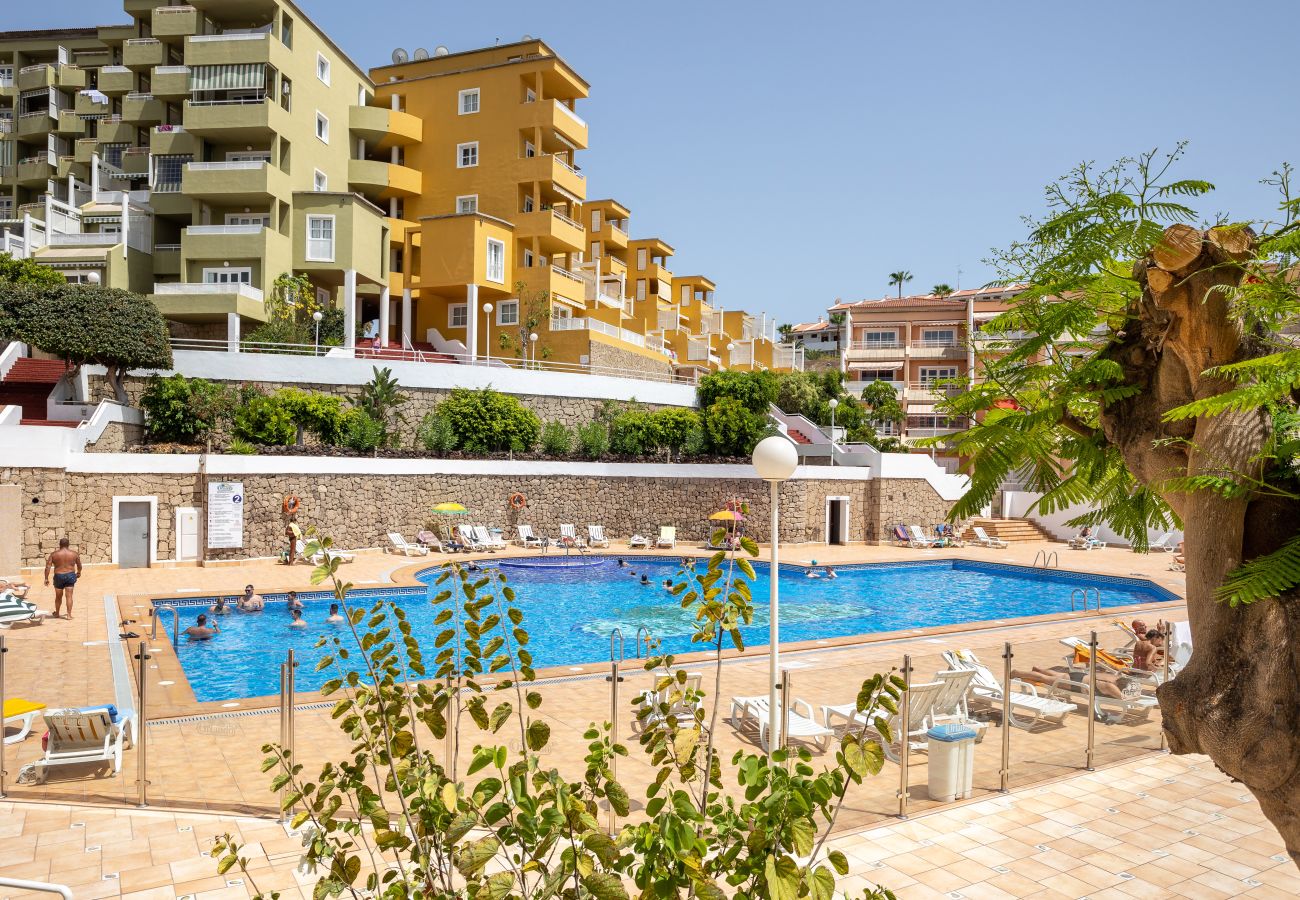 Apartment in Adeje - ORLAOrlando Sunny Apartment Near Costa Adeje Beach by LoveTenerife