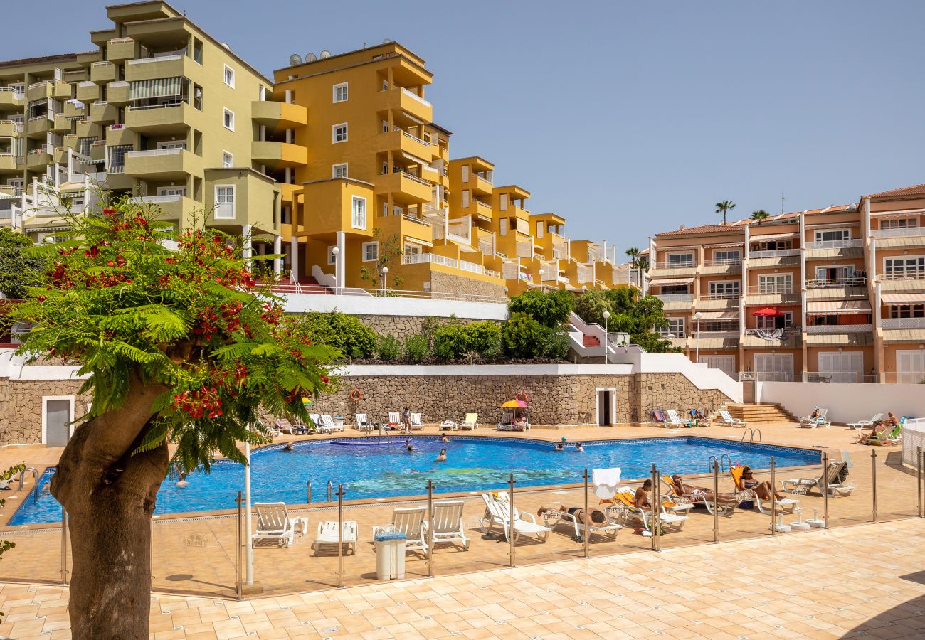 Apartment in Adeje - ORLAOrlando Sunny Apartment Near Costa Adeje Beach by LoveTenerife